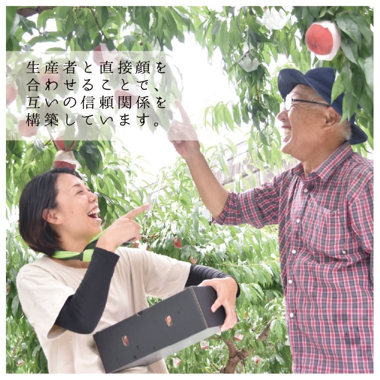 【送料込み】ちょぴっとフルーツ5回定期便