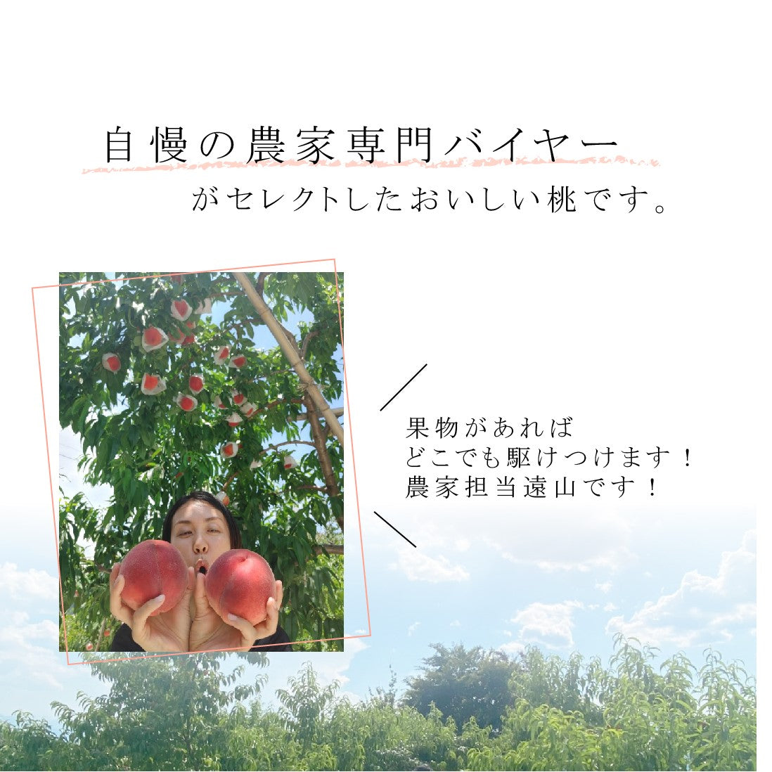 山梨の桃 もぎたて!桃2回定期便【送料込み】