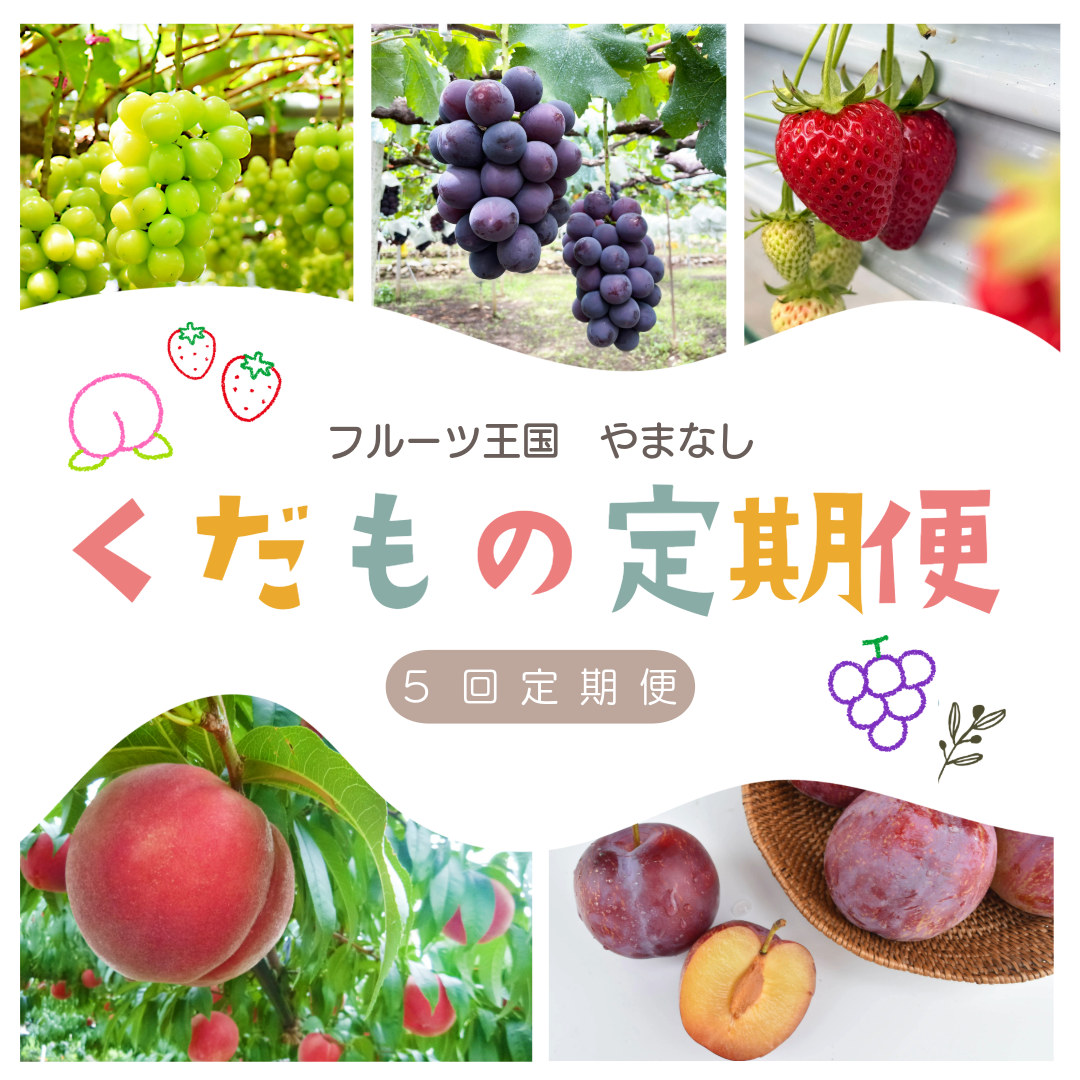 【送料込み】ちょぴっとフルーツ5回定期便