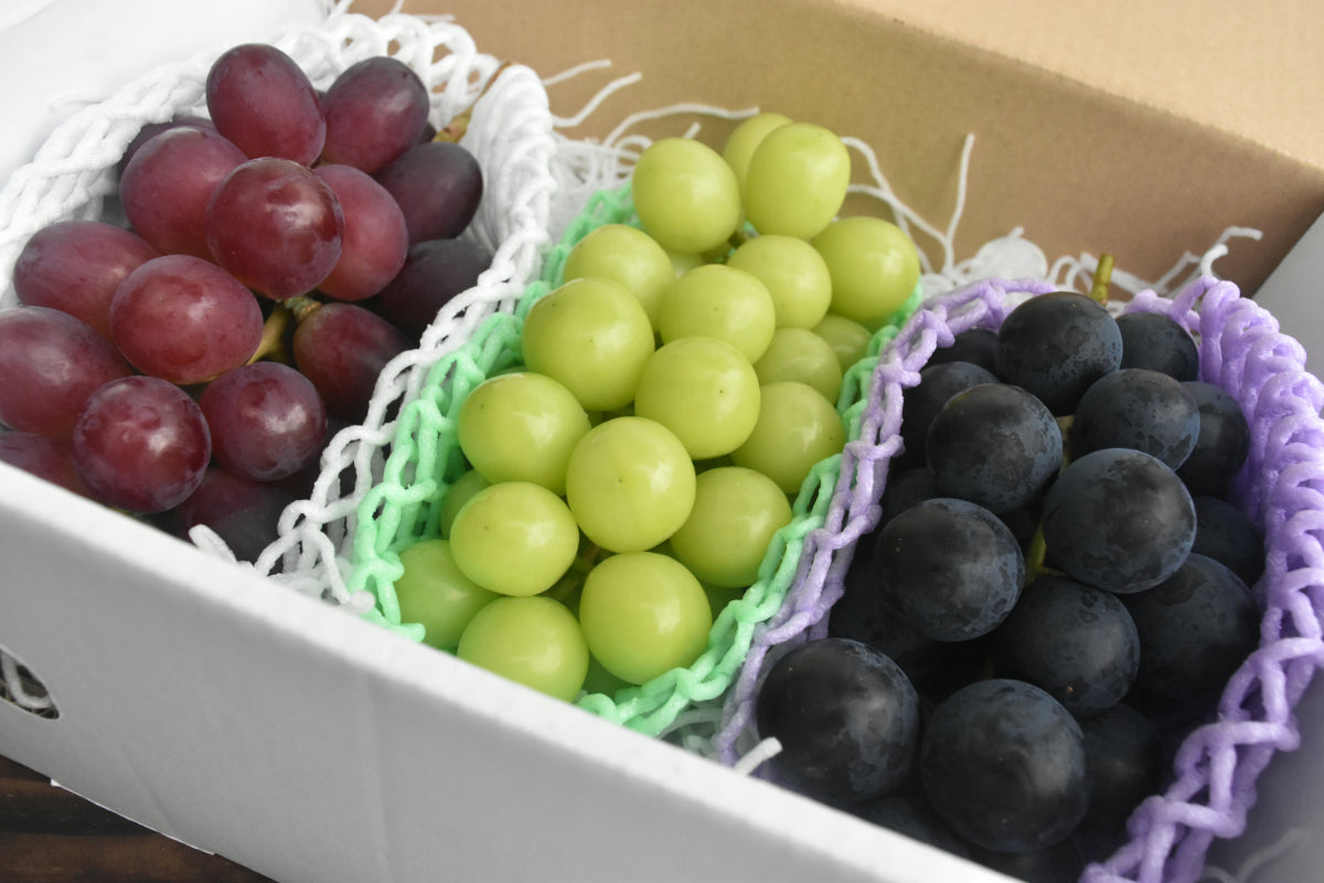 ぶどう食べつくし 贅沢詰合わせ 3種 計1.8kg