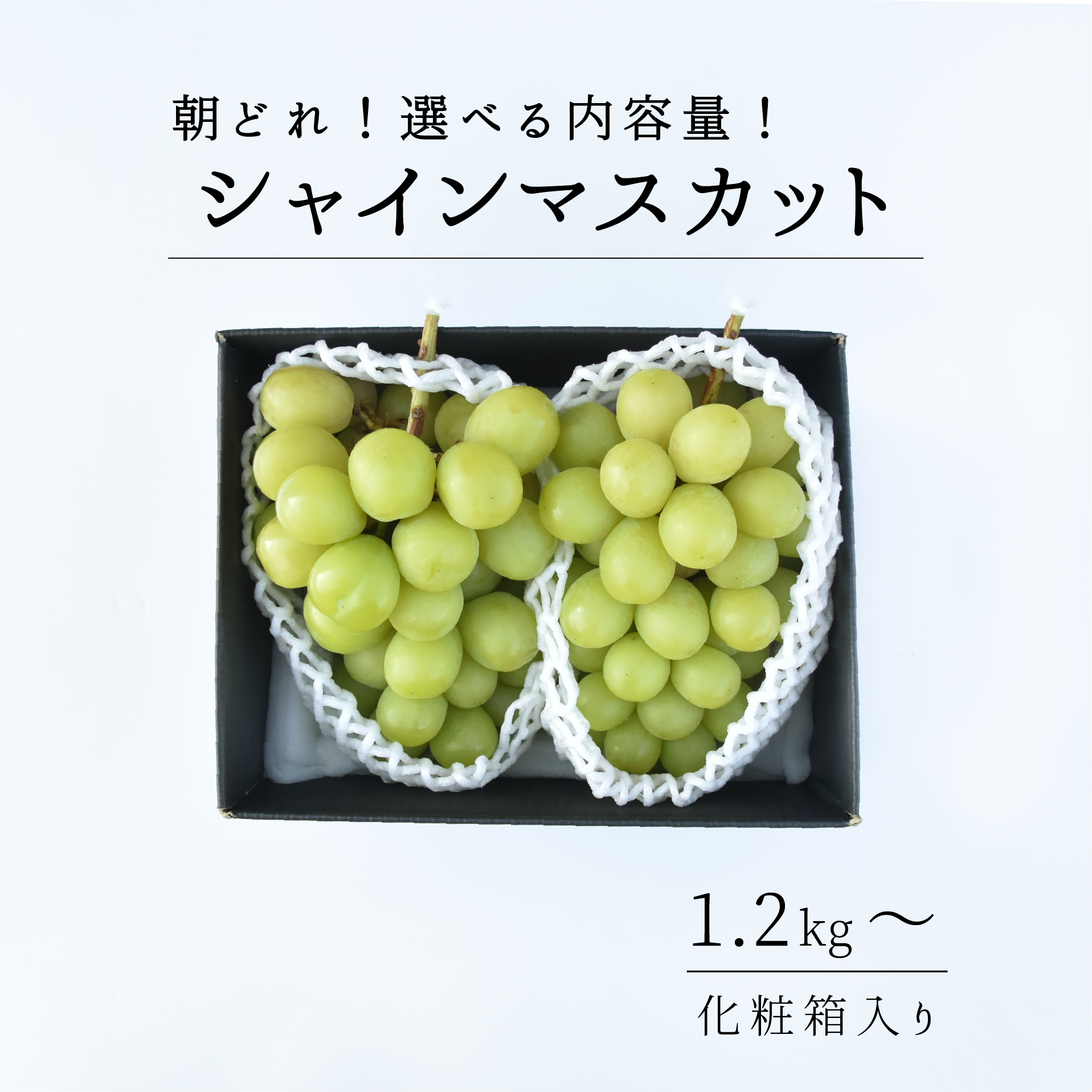 山梨県産　シャインマスカット　9房セット fruits-line_syain-1k
