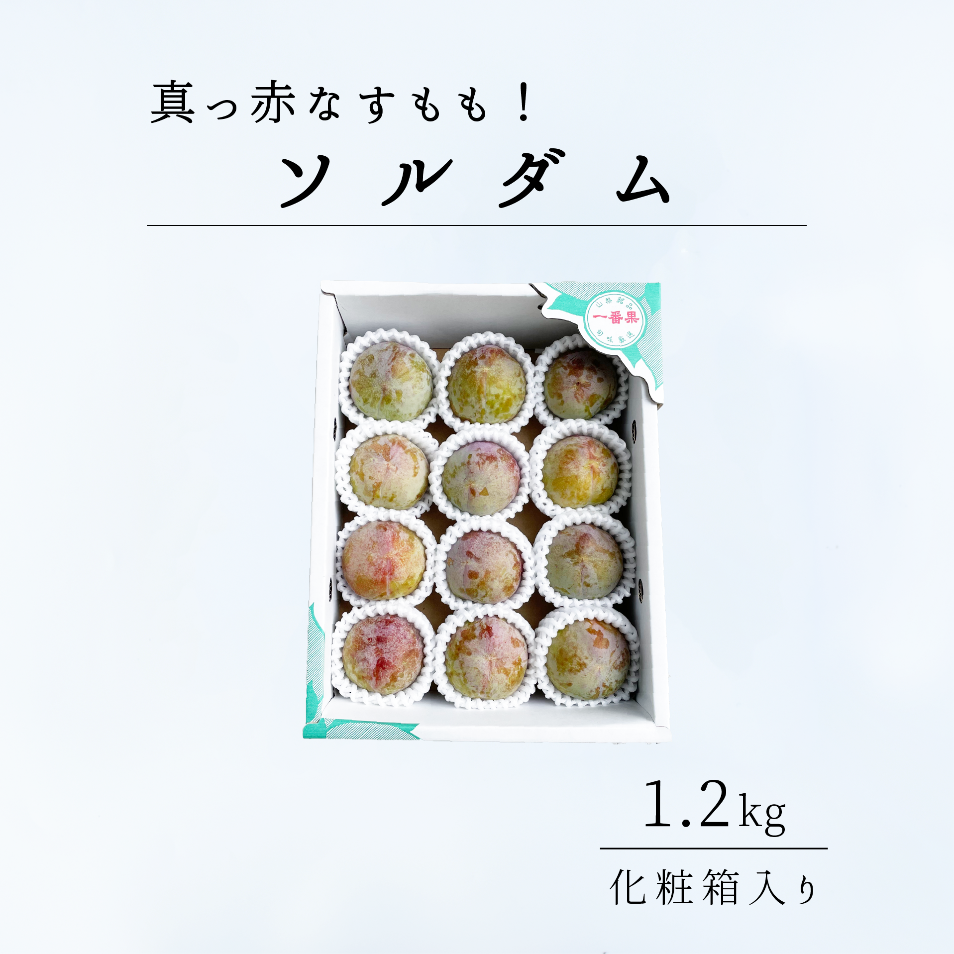 ソルダム（すもも・プラム）【1.2kg / 7月上旬〜発送】｜山梨県産地