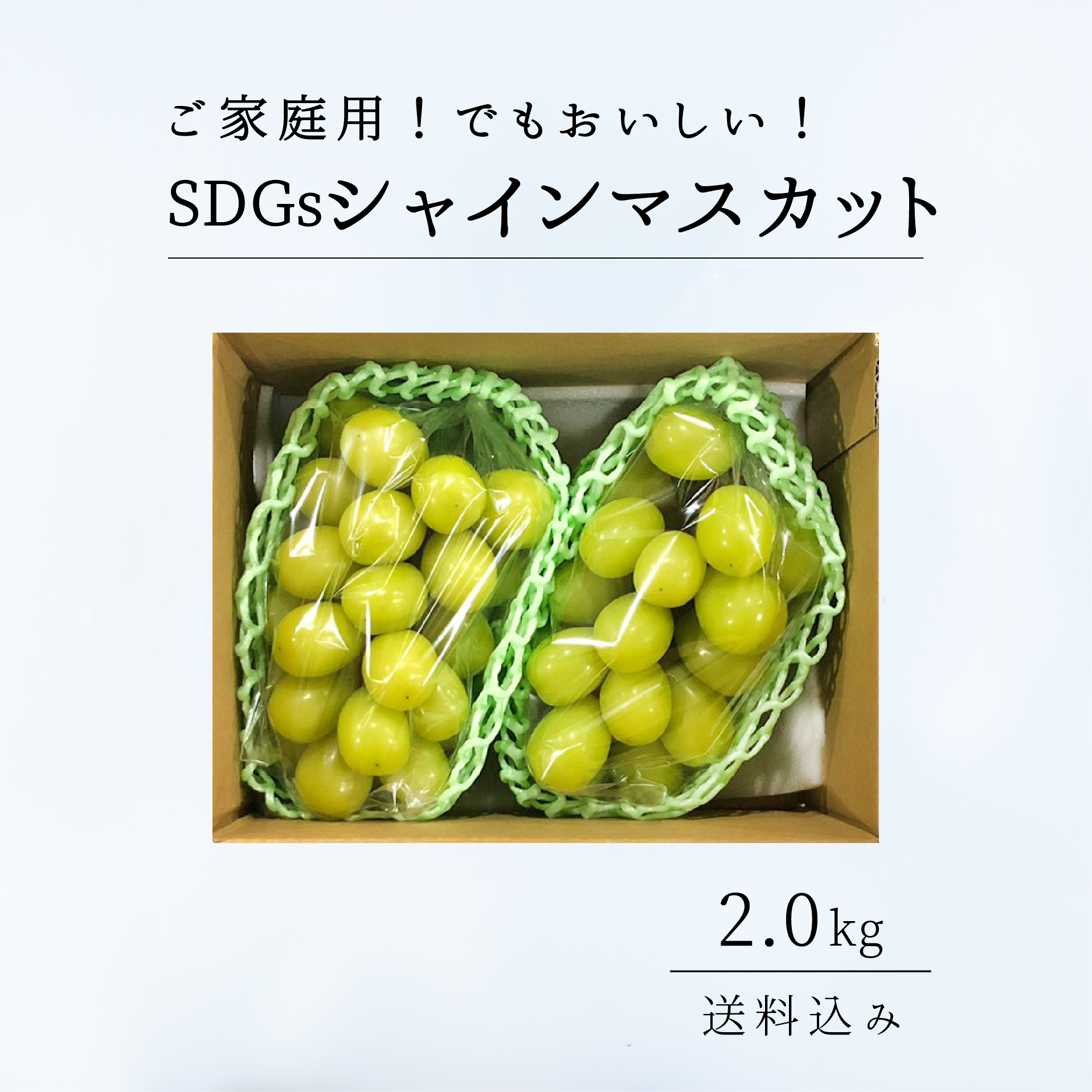 訳あり・ご家庭用シャインマスカット【2.0kg / 送料込み】｜ 山梨県