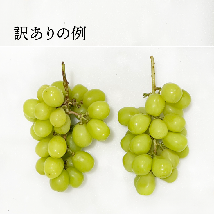 【送料込み】ご家庭用!シャインマスカット&クイーンニーナ 2房