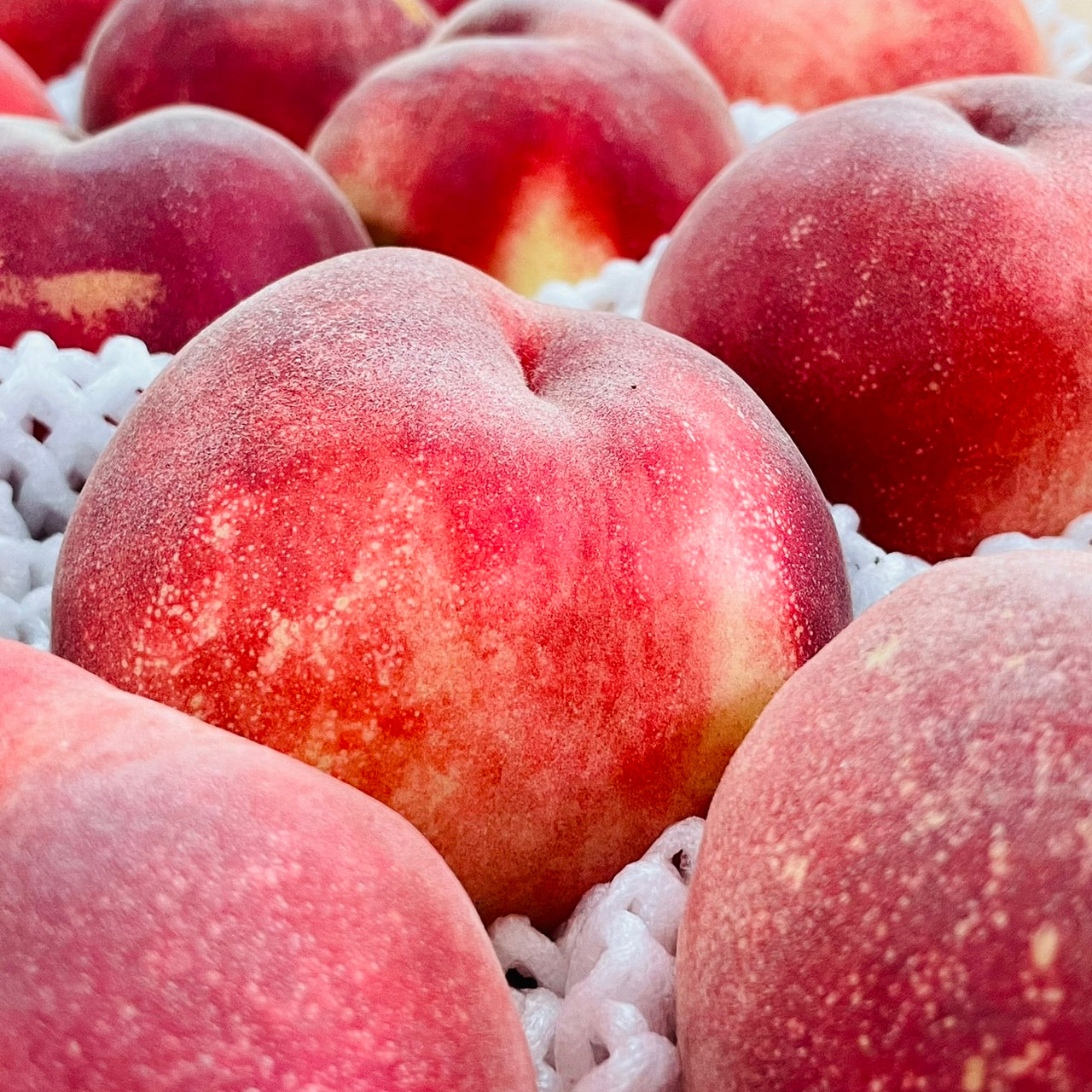 SDGs ご家庭用 山梨県産もも 15玉(送料込み)