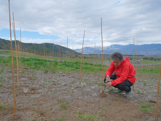 【ドメーヌヒデ】 日本のナチュラルワインの造り手の「今」