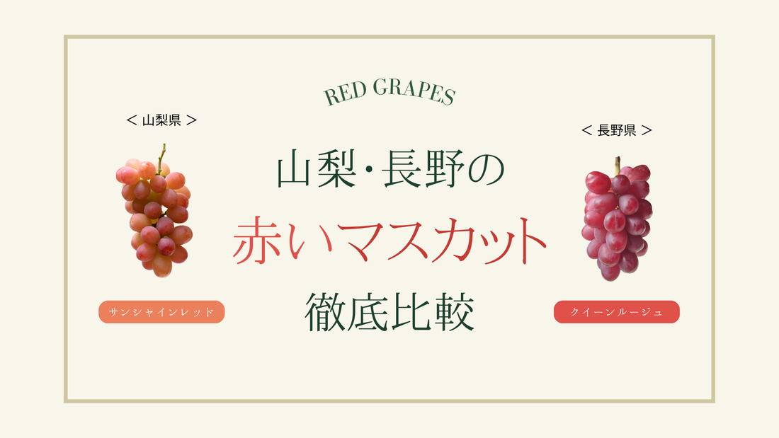 長野・山梨の赤いシャインマスカット徹底比較