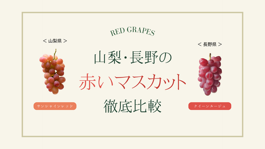 長野・山梨の赤いシャインマスカット徹底比較