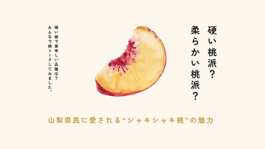 硬い桃派？柔らかい桃？　山梨県に愛される”シャキシャキ桃”の魅力