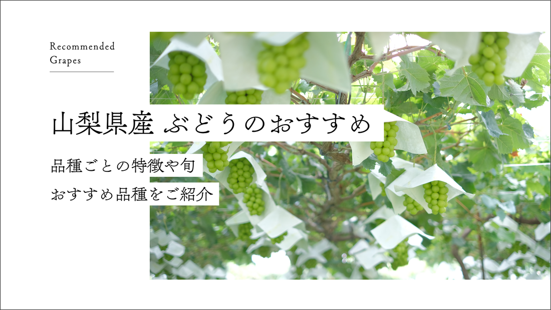山梨県産ぶどうのおすすめ