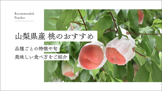 山梨県産桃のおすすめ | 品種ごとの特徴や旬の美味しい食べ方をご紹介