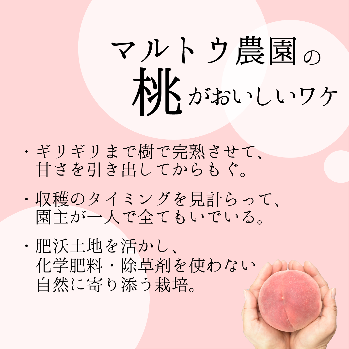 マルトウ農園のあま～い桃 1.8kg相当