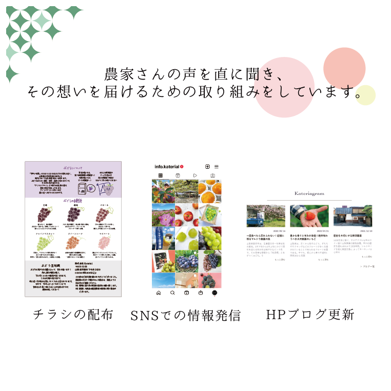 【送料込み】ちょぴっとフルーツ5回定期便