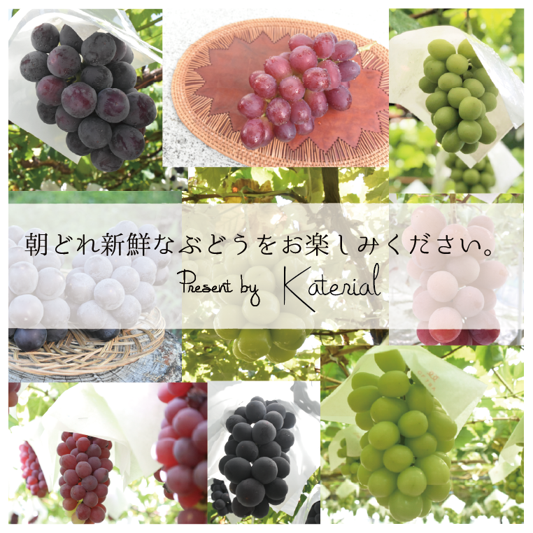 【送料込み】ちょぴっとフルーツ5回定期便