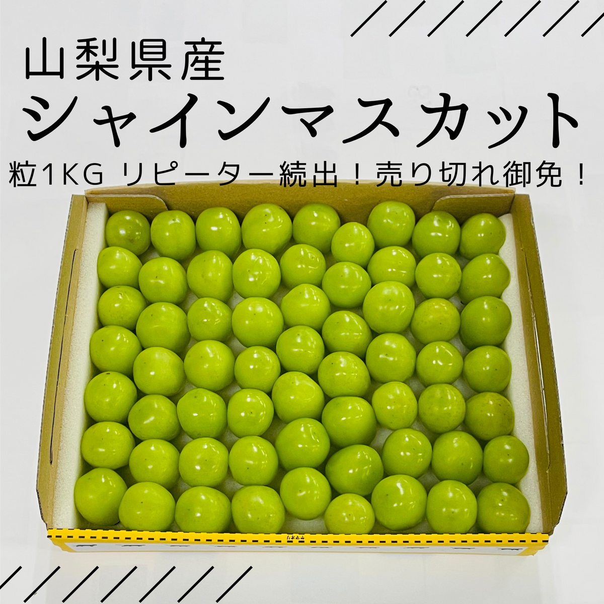 1粒シャインマスカット【約1.0㎏】| 山梨県 産地直送お取り寄せ・通販 1粒シャインマスカット【約1.0㎏】| 山梨県 産地直送お取り寄せ・通販
