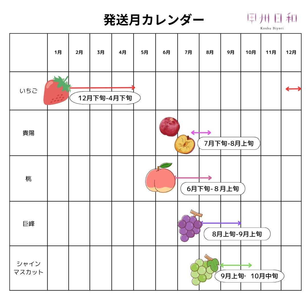 【送料込み】ちょぴっとフルーツ5回定期便