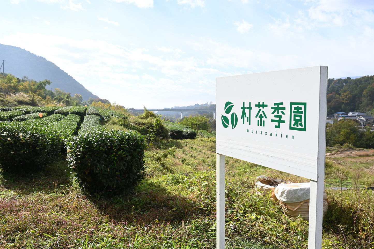 村茶季園 甲斐亀沢紅茶 ティーバッグ