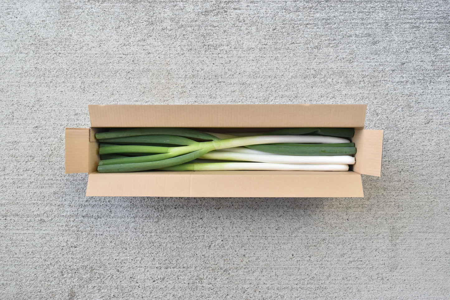 【送料込み】甲斐市産原田さんちの長ネギ定期便　1kg×6回