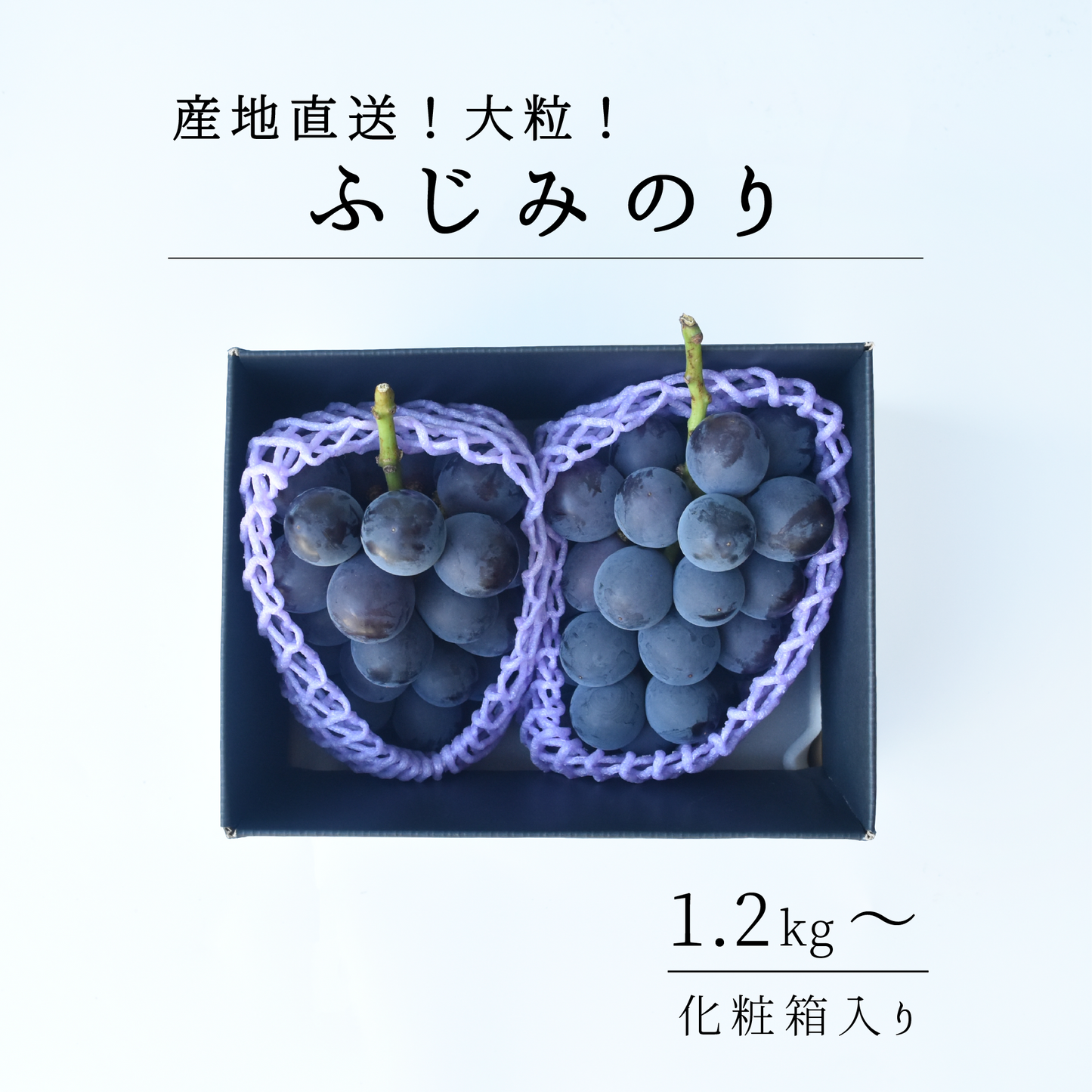 山梨県産　藤稔(ふじみのり)　８月上旬-