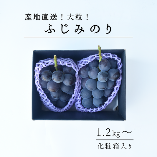 山梨県産　藤稔(ふじみのり)　８月上旬-