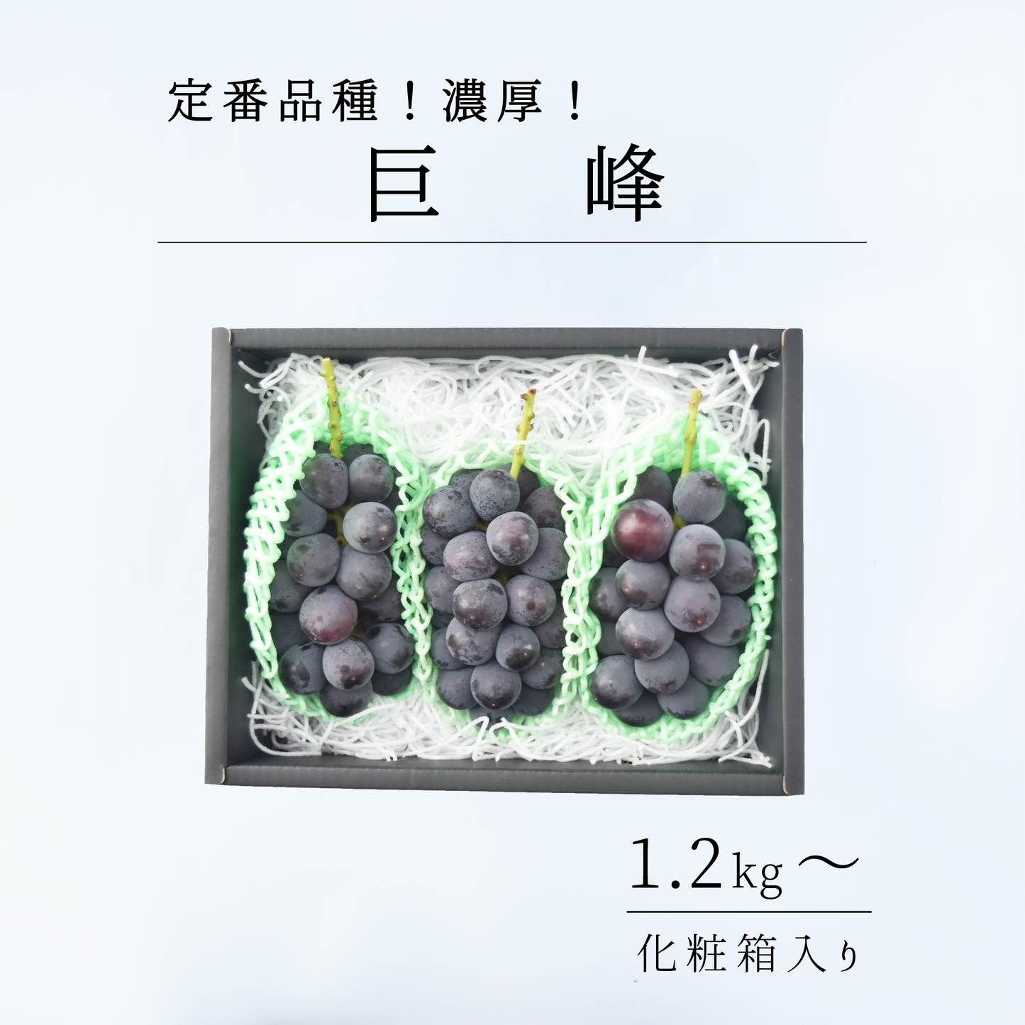 山梨県産　巨峰　 8月上旬-