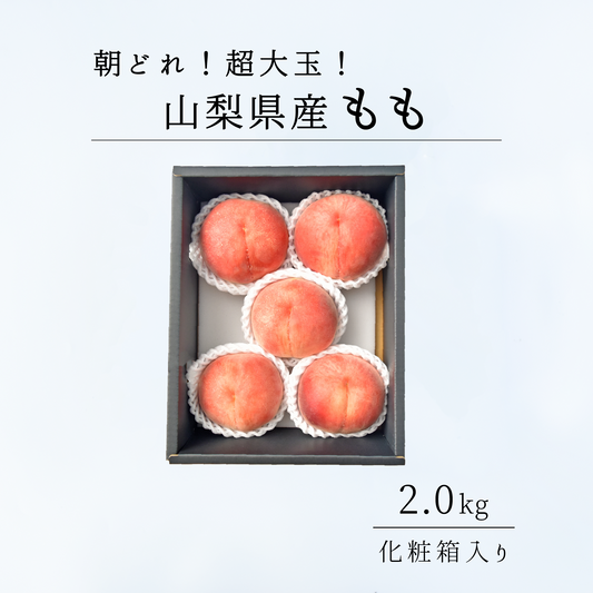超大玉　山梨県産　特秀桃 2.0㎏