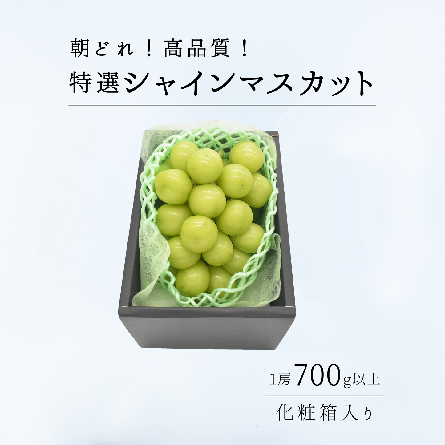 贈答用特選！大粒！高糖度！シャインマスカット700g以上