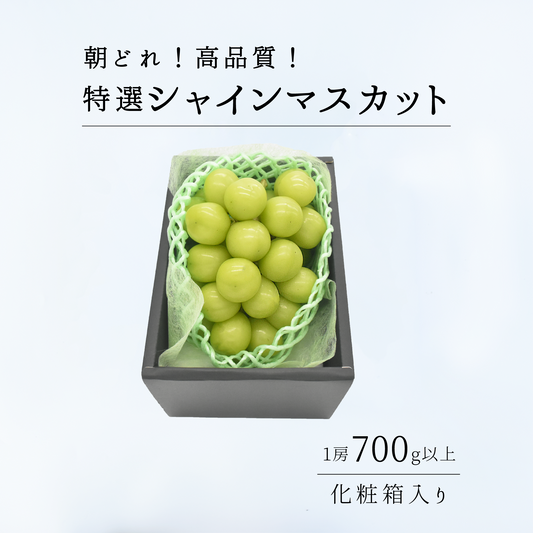 贈答用特選！大粒！高糖度！シャインマスカット700g以上