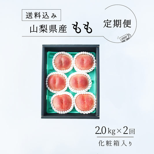 山梨の桃 もぎたて！桃2回定期便【送料込み】