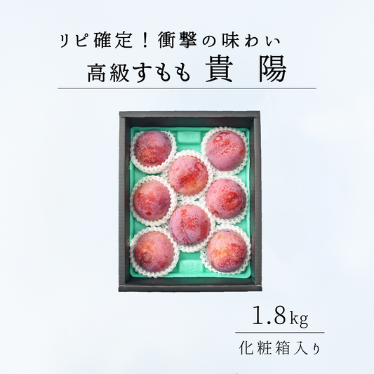 高級スモモ【貴陽】1.8kg 相当　7月下旬-