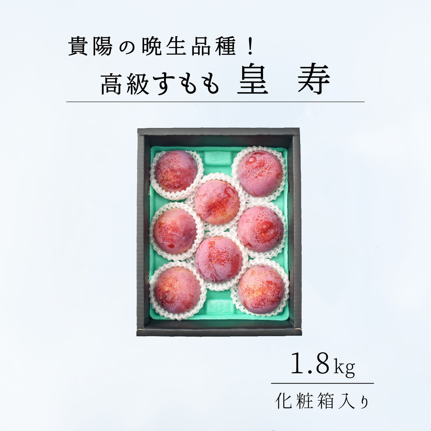 高級スモモ【皇寿】1.8kg 相当　8月上旬-