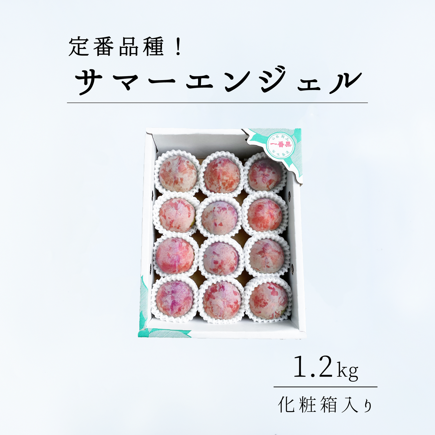 サマーエンジェル（すもも）1.2kg相当　7月上旬-