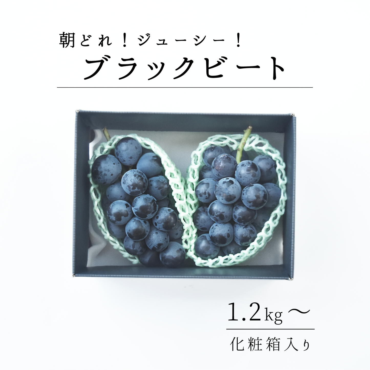 山梨県産　ブラックビート　8月上旬-