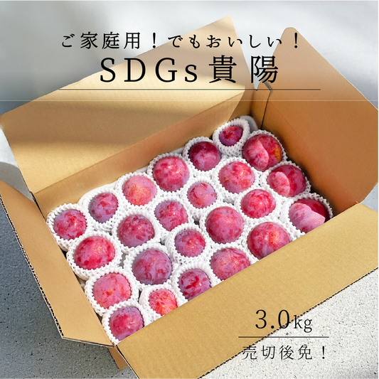 SDGs ご家庭用 山梨県産貴陽 約3.0㎏（送料込み）