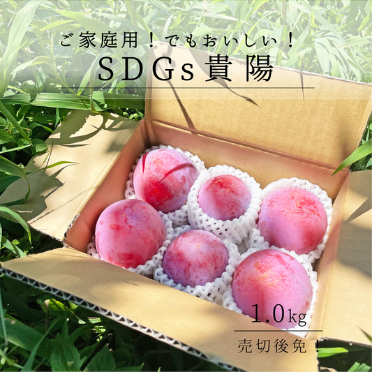 SDGs ご家庭用 山梨県産貴陽 約1.0㎏以上（送料込み）