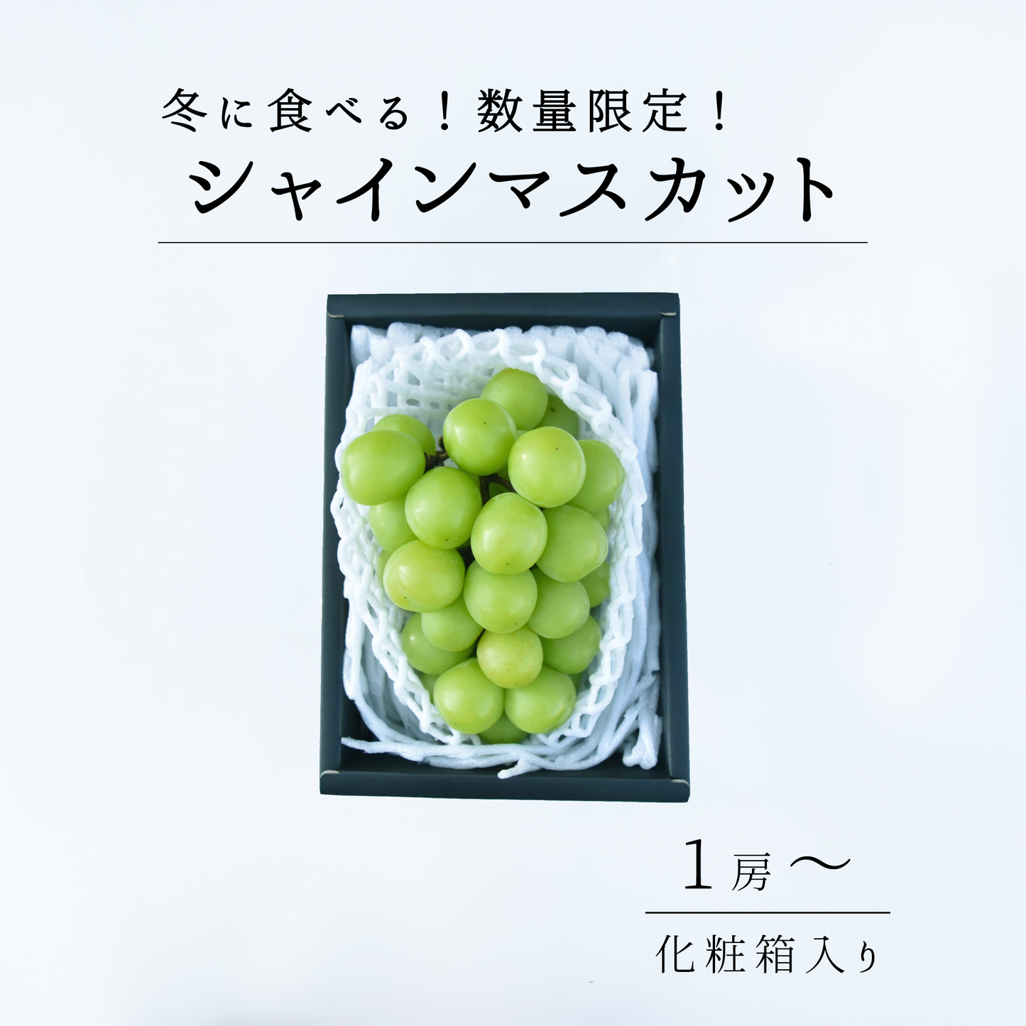 冬のシャインマスカット　2025年12月～発送