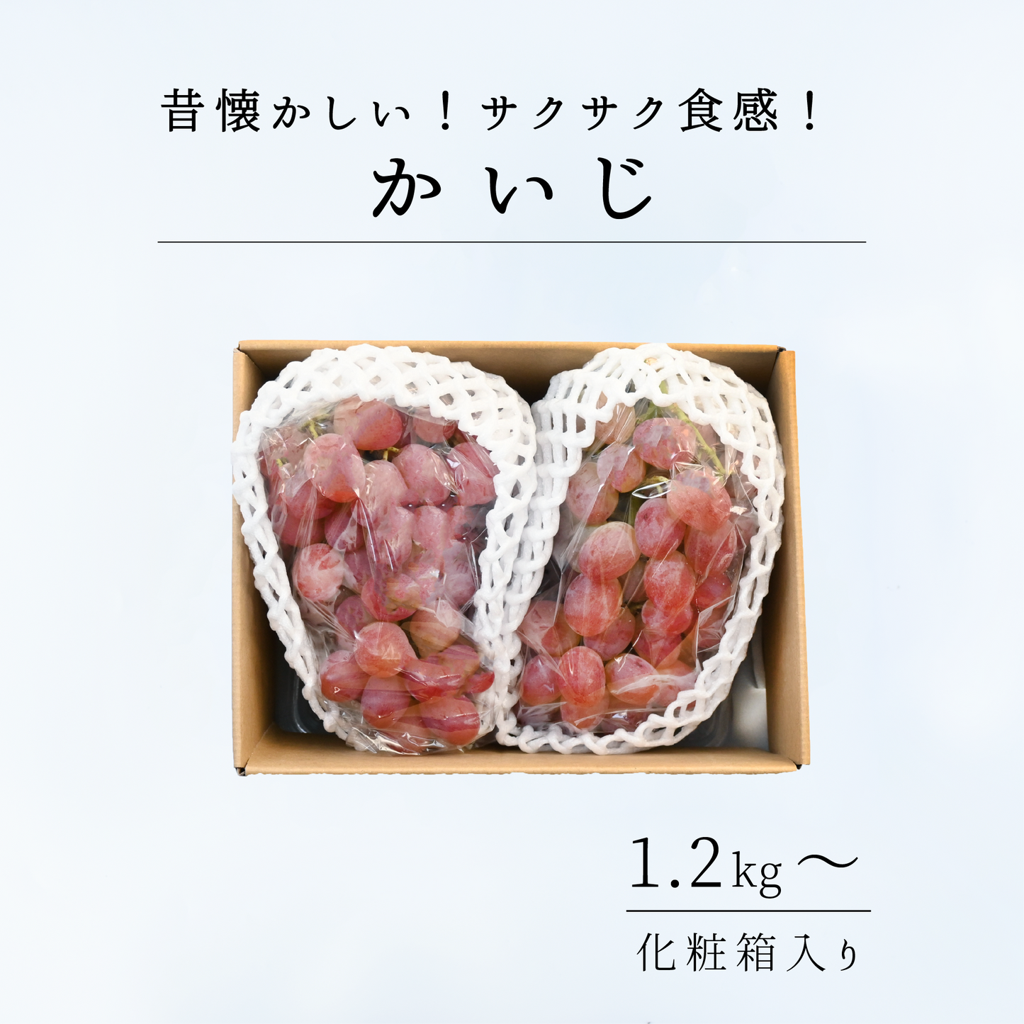 山梨県産　甲斐路　9月中旬頃から