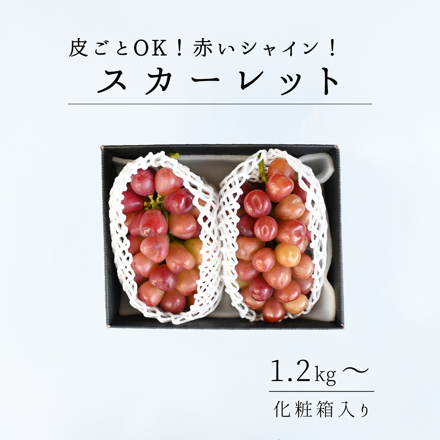 山梨県産　スカーレット　9月上旬頃から