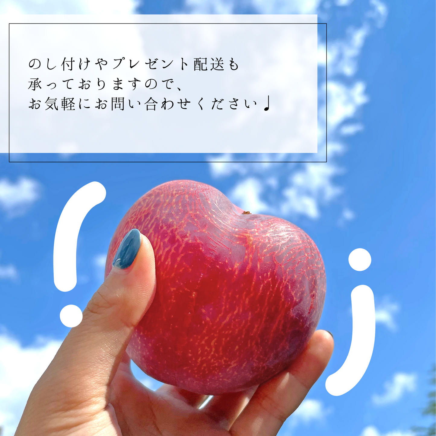 高級スモモ【貴陽】1.8kg 相当　7月下旬-