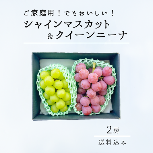 【送料込み】ご家庭用！シャインマスカット＆クイーンニーナ 2房