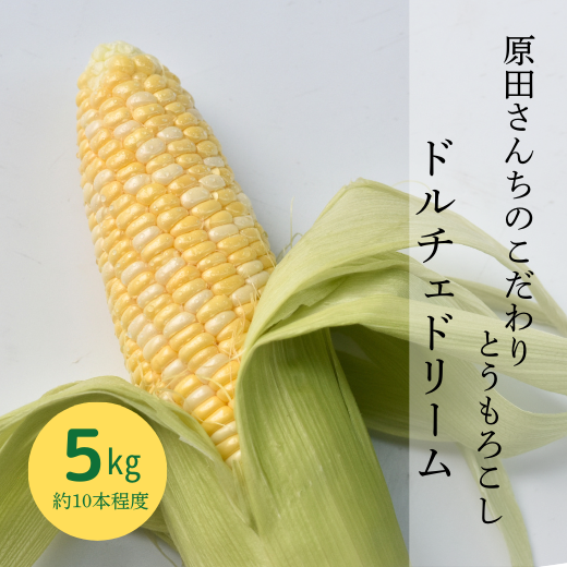 【発送地域限定】甲斐市産　原田さんちのとうもろこし【ドルチェドリーム】5kg